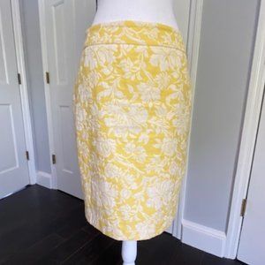 Ann Taylor Pencil Skirt